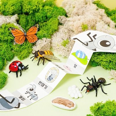 (민화) 곤충 한살이 성장 북아트 1개 (옵션) 피규어포함 과학 관찰